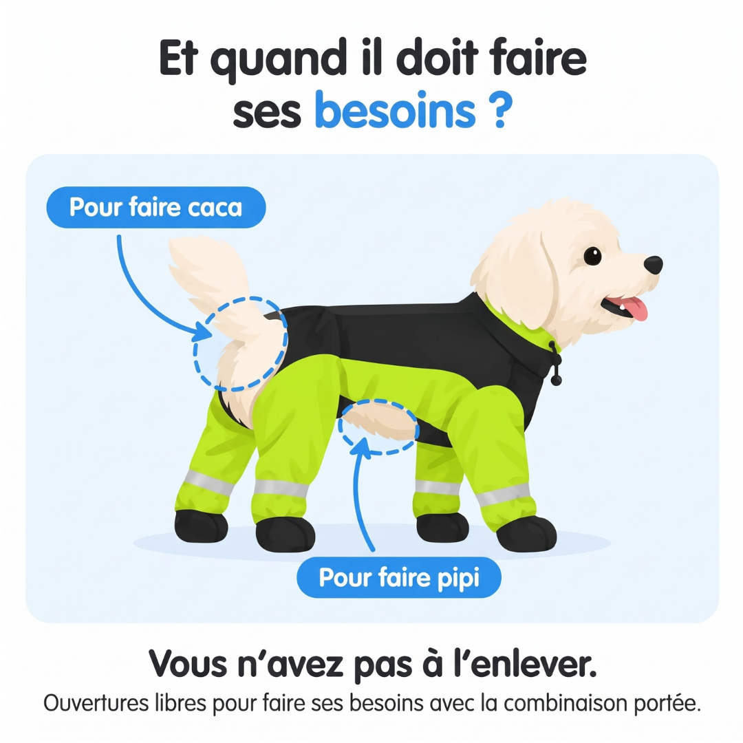 Imperméable à 4 Pattes : Votre Chien au Sec et Bien Visible
